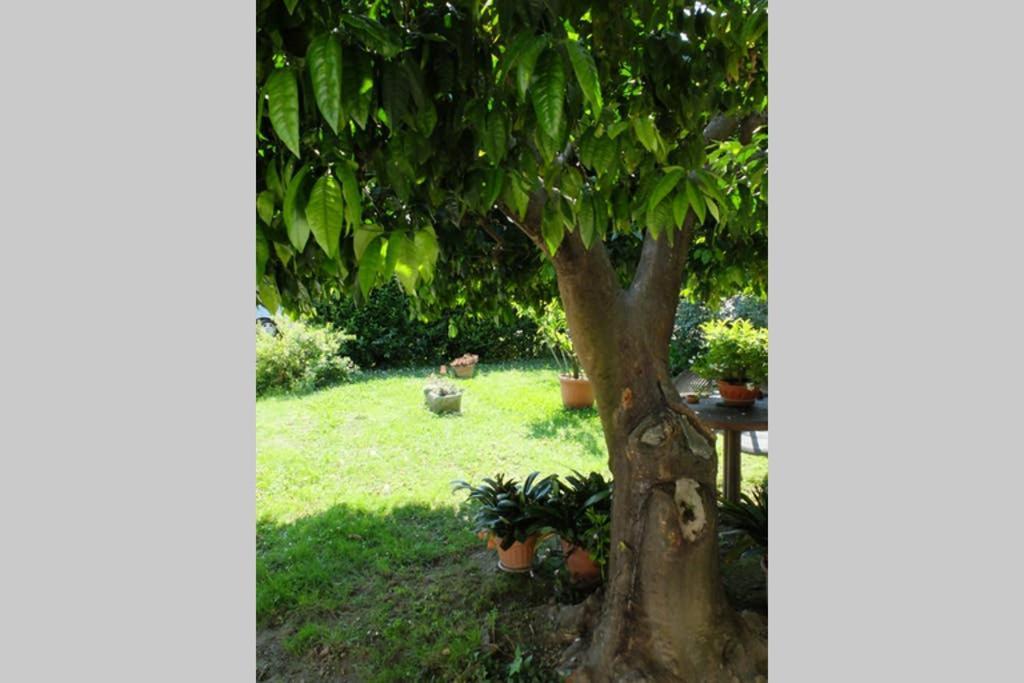 La Casina Di Bruna Mommio Exterior foto
