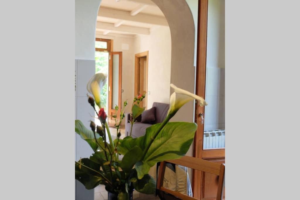 La Casina Di Bruna Mommio Exterior foto